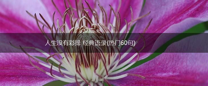 人生没有彩排 经典语录(热门60句),第1张