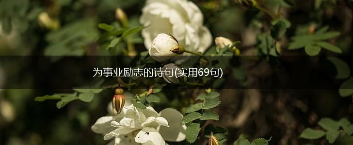 为事业励志的诗句(实用69句),第1张