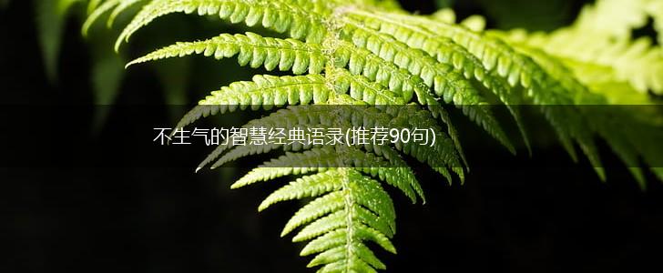 不生气的智慧经典语录(推荐90句),第1张