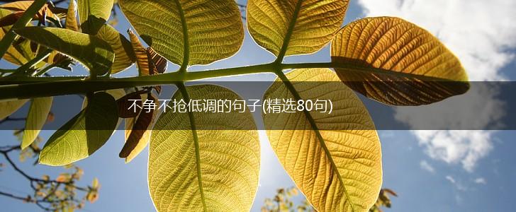 不争不抢低调的句子(精选80句),第1张