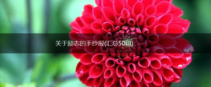 关于励志的手抄报(汇总50句),第1张