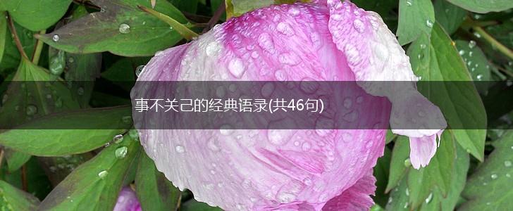 事不关己的经典语录(共46句),第1张