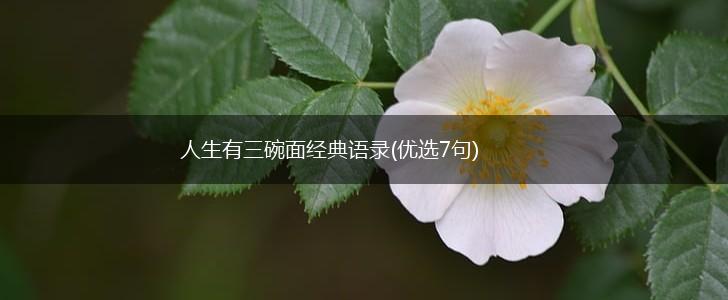 人生有三碗面经典语录(优选7句),第1张