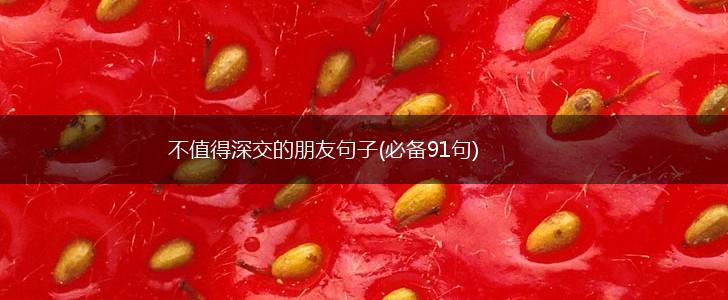 不值得深交的朋友句子(必备91句),第1张