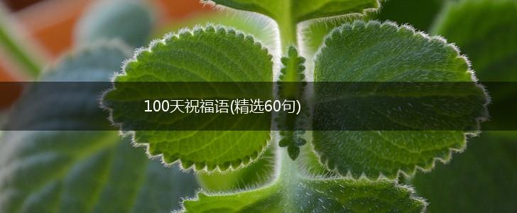 100天祝福语(精选60句),第1张