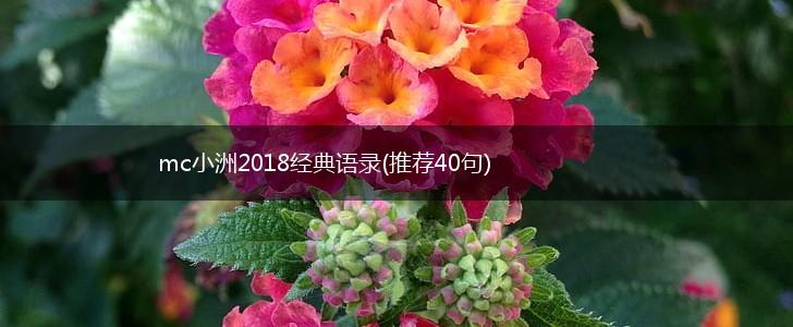 mc小洲2018经典语录(推荐40句),第1张
