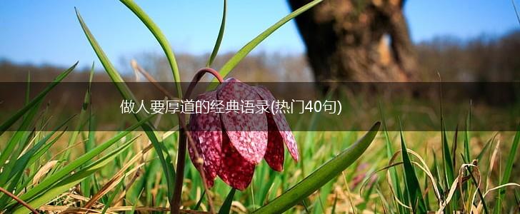 做人要厚道的经典语录(热门40句),第1张