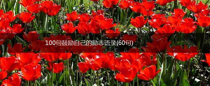 100句鼓励自己的励志语录(60句),第1张