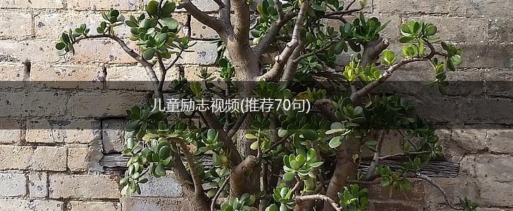 儿童励志视频(推荐70句),第1张