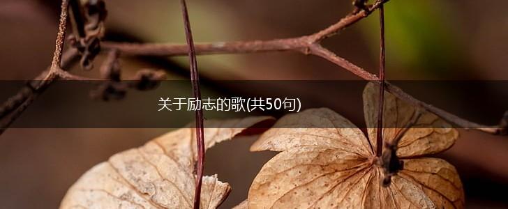 关于励志的歌(共50句),第1张