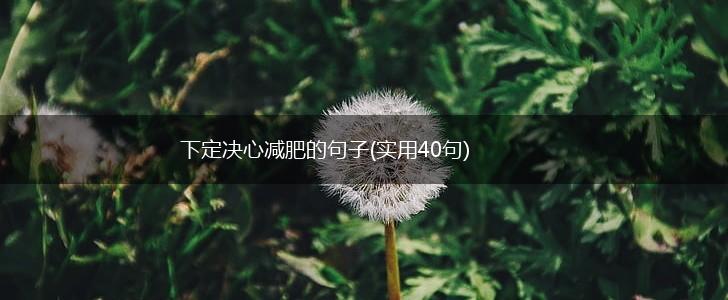 下定决心减肥的句子(实用40句),第1张