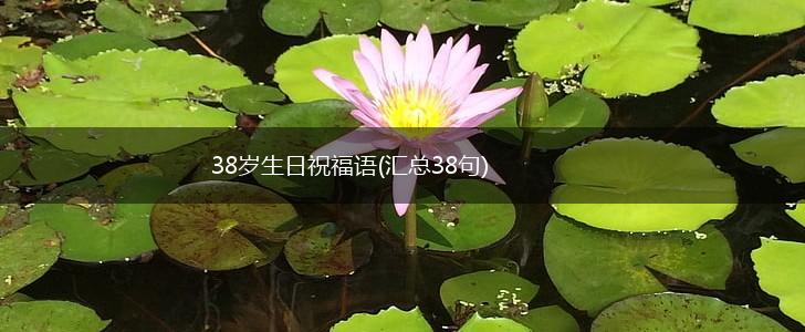 38岁生日祝福语(汇总38句),第1张