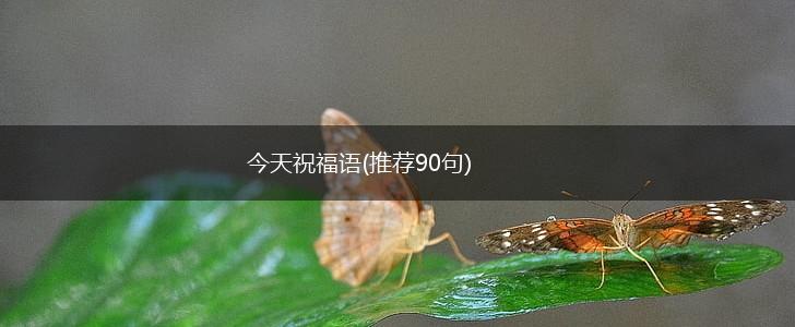 今天祝福语(推荐90句),第1张