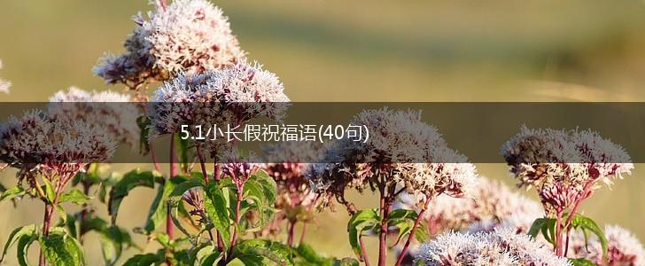 5.1小长假祝福语(40句),第1张