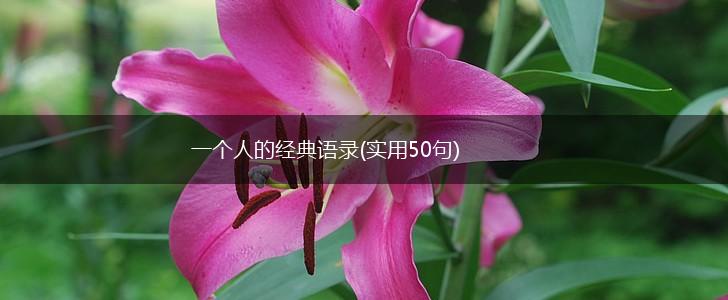 一个人的经典语录(实用50句),第1张