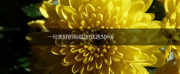 一句美好的祝福语(优选50句),第1张