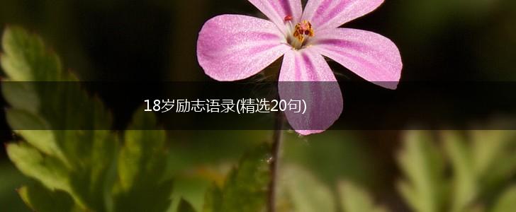 18岁励志语录(精选20句),第1张
