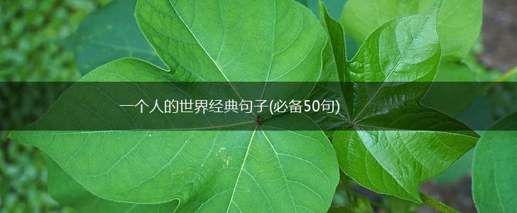 一个人的世界经典句子(必备50句),第1张