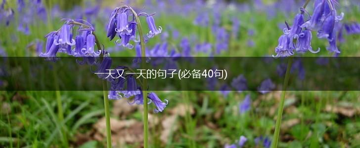 一天又一天的句子(必备40句),第1张