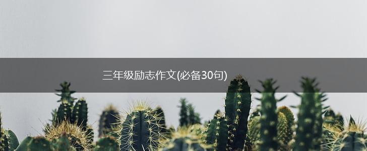 三年级励志作文(必备30句),第1张