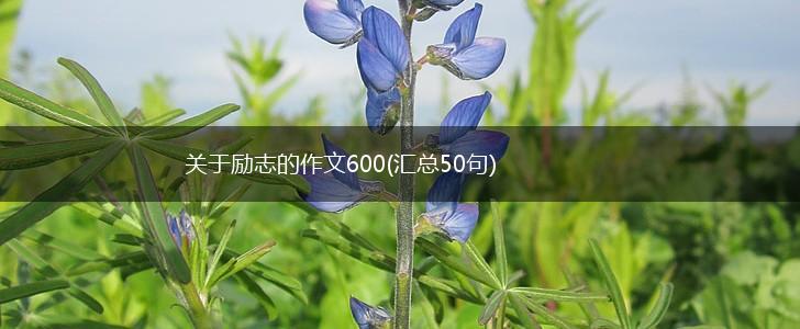 关于励志的作文600(汇总50句),第1张