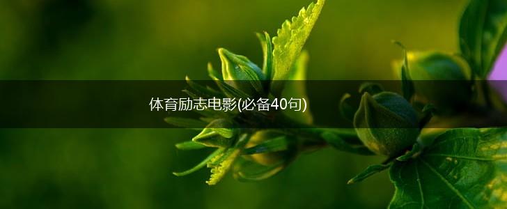 体育励志电影(必备40句),第1张