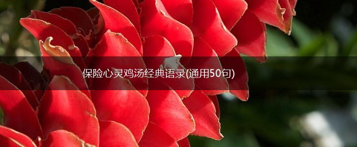 保险心灵鸡汤经典语录(通用50句),第1张