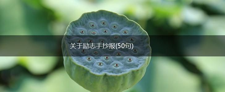 关于励志手抄报(50句),第1张