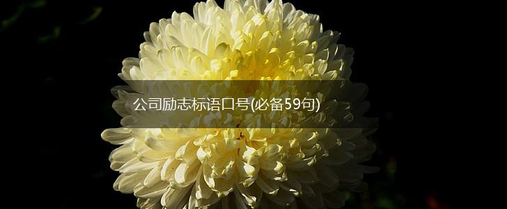 公司励志标语口号(必备59句),第1张