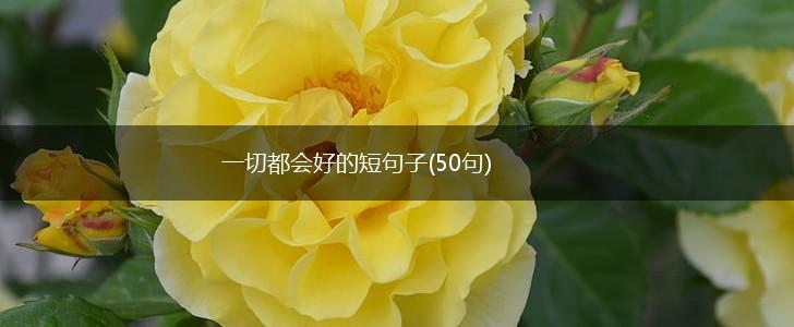 一切都会好的短句子(50句),第1张