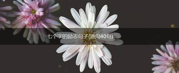 七个字的励志句子(通用40句),第1张