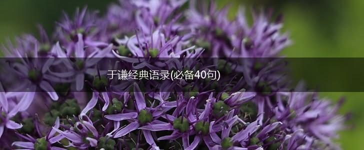于谦经典语录(必备40句),第1张