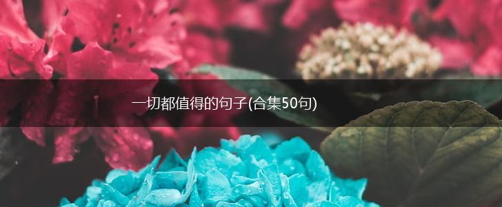 一切都值得的句子(合集50句),第1张