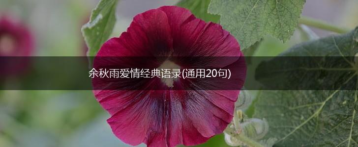 余秋雨爱情经典语录(通用20句),第1张