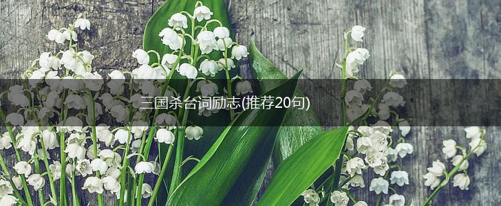三国杀台词励志(推荐20句),第1张