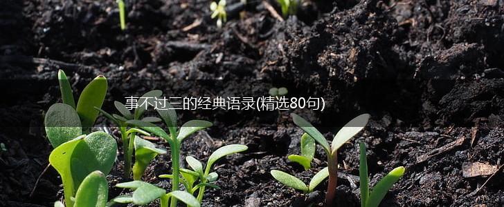 事不过三的经典语录(精选80句),第1张