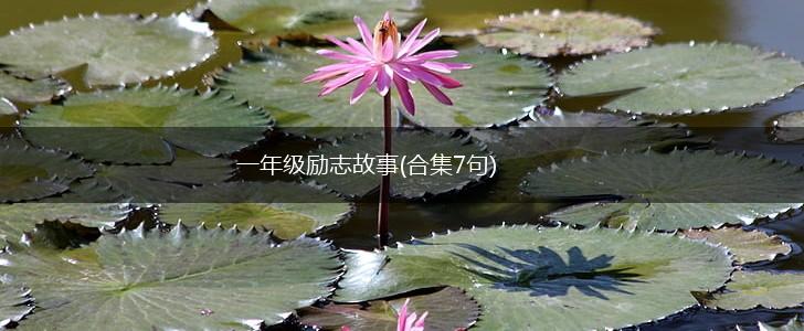 一年级励志故事(合集7句),第1张
