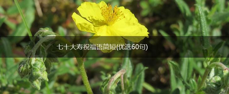 七十大寿祝福语简短(优选60句),第1张