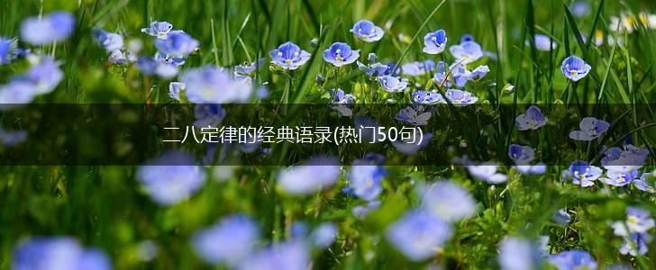 二八定律的经典语录(热门50句),第1张