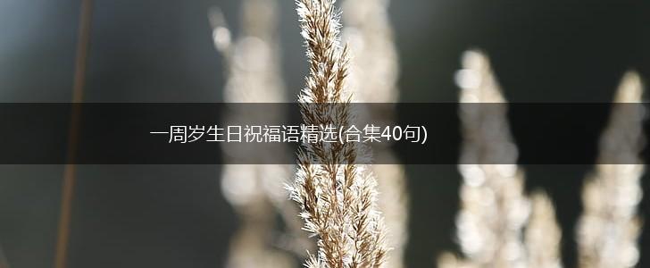 一周岁生日祝福语精选(合集40句),第1张