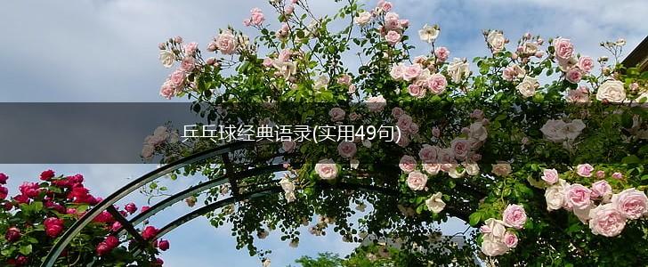 乒乓球经典语录(实用49句),第1张