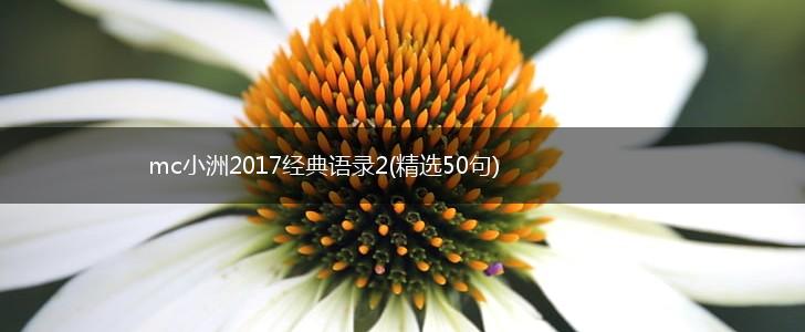 mc小洲2017经典语录2(精选50句),第1张