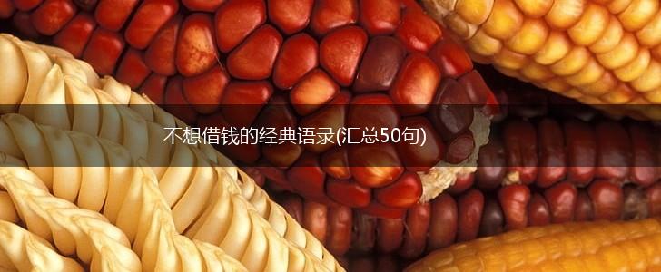 不想借钱的经典语录(汇总50句),第1张