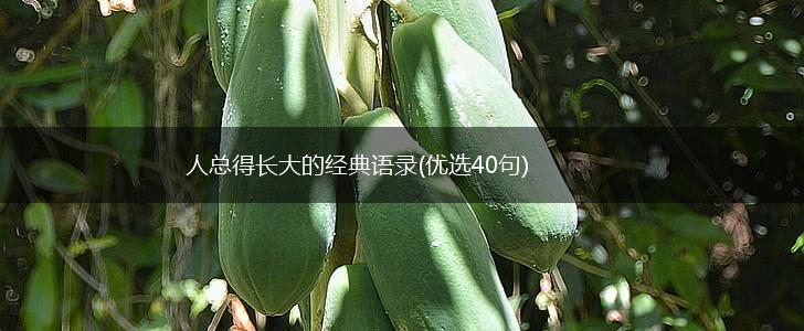 人总得长大的经典语录(优选40句),第1张