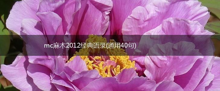 mc麻木2012经典语录(通用40句),第1张