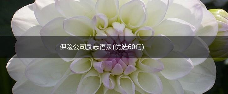 保险公司励志语录(优选60句),第1张