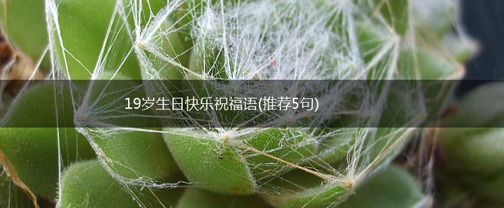 19岁生日快乐祝福语(推荐5句),第1张