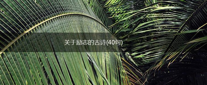 关于励志的古诗(40句),第1张