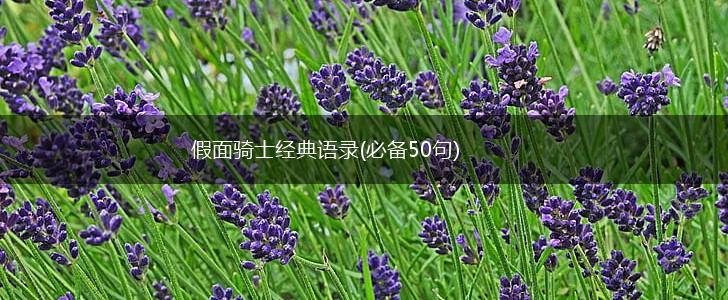 假面骑士经典语录(必备50句),第1张