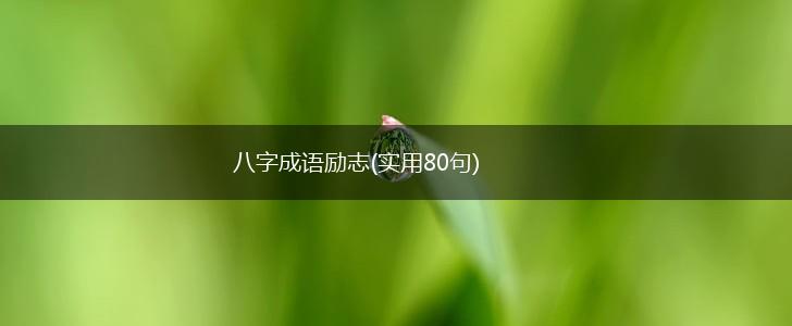 八字成语励志(实用80句),第1张